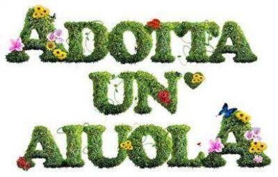 Immagine: Aiuola